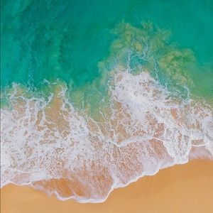 Meet your Posher, Leila